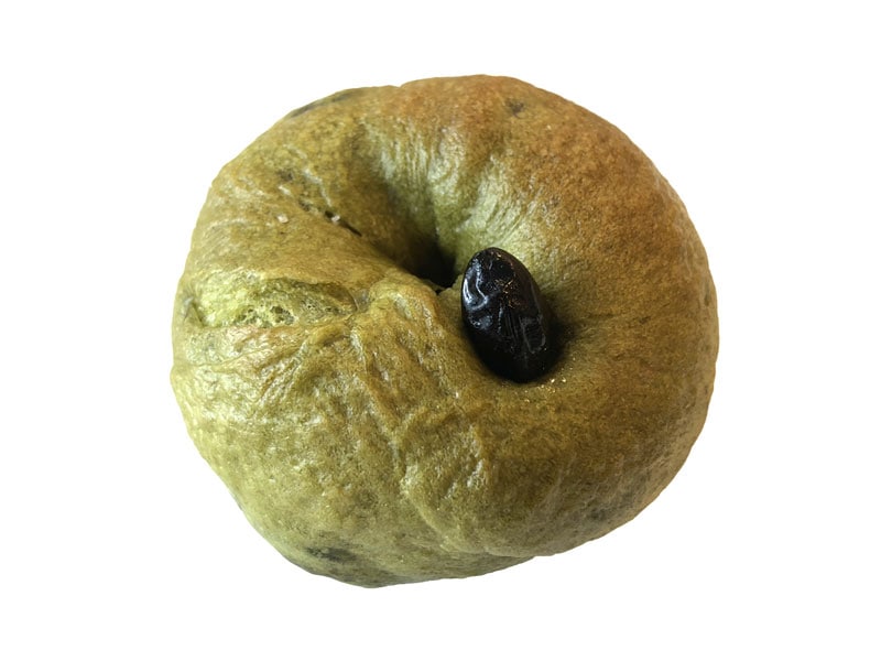 ��Ʀ����ߥ�