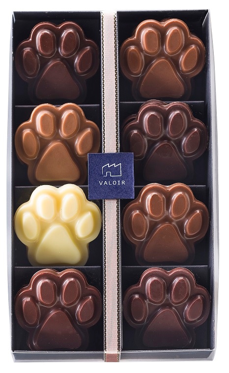 肉球ﾌﾟﾁﾀﾌﾞﾚｯﾄ【産地別】 | ▽チョコレート,・タブレット（板チョコ