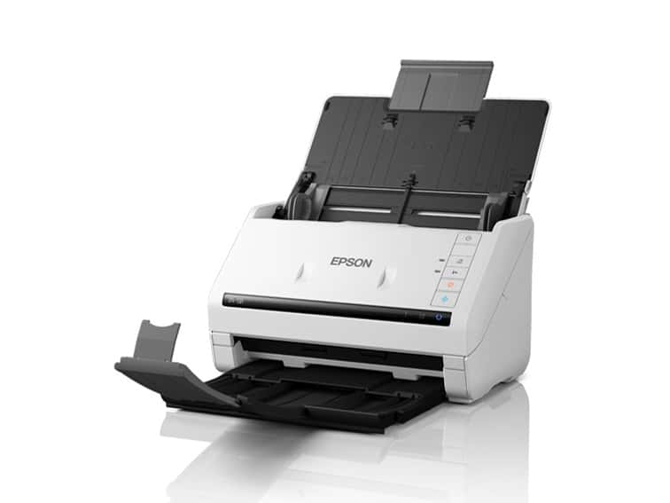 EPSONDS-531 Y通常配送商品