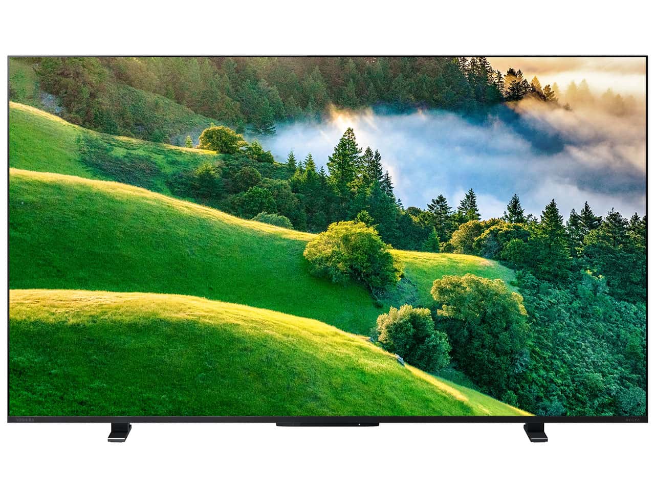 TVS REGZAREGZA 55M550L [55インチ] 通常配送商品