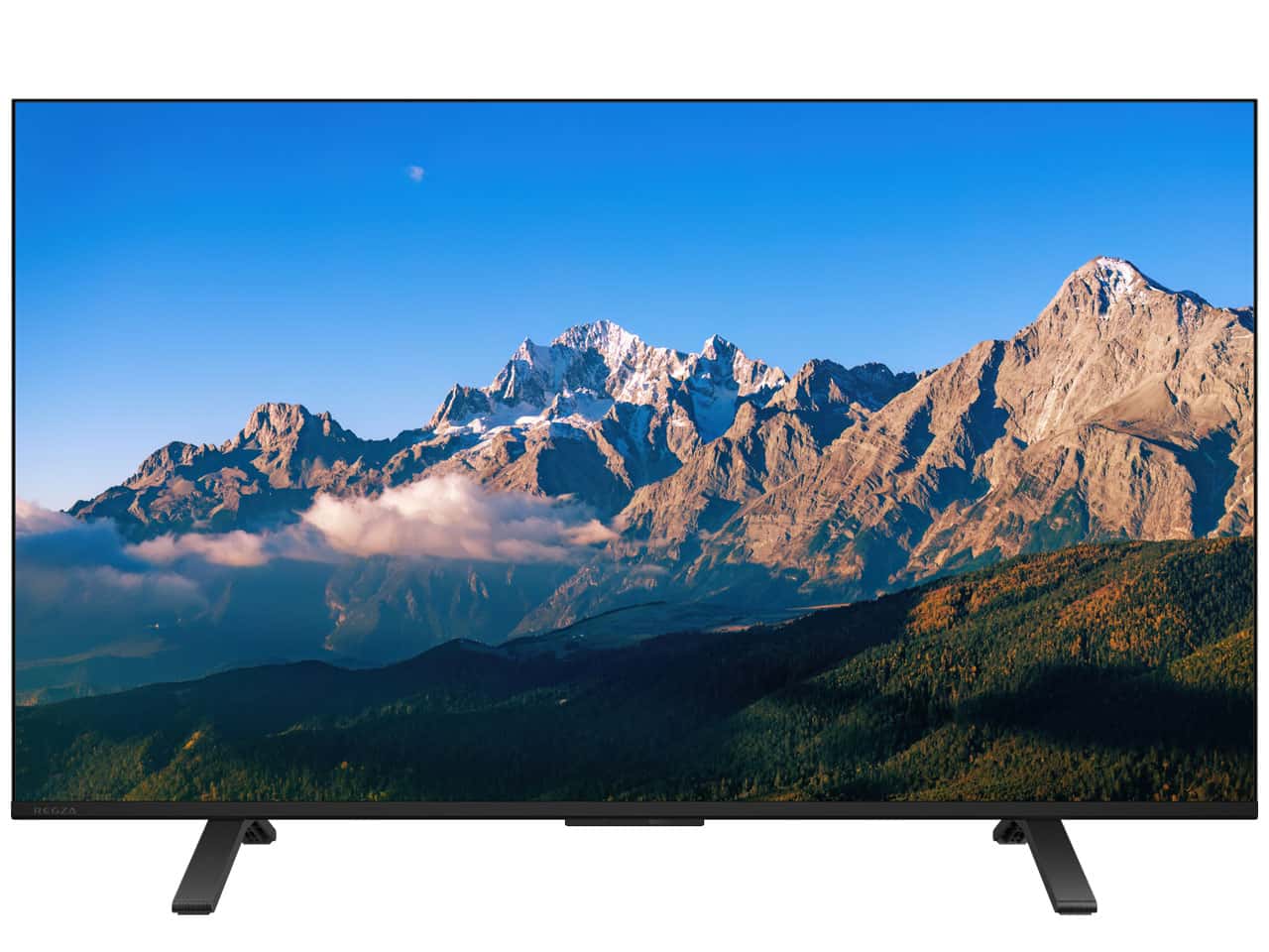 TVS REGZAREGZA 43M550R [43インチ] Y通常配送商品