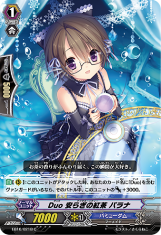 Duo 安らぎの紅茶 パラナ「C」[EB10/021B]《バミューダ