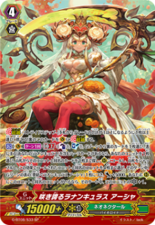 咲き誇るラナンキュラス アーシャ「SP」[G-BT08/S33]《ネオネクタール》