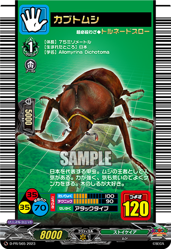 カブトムシ「PR」[D-PR/565]《ストイケイア》