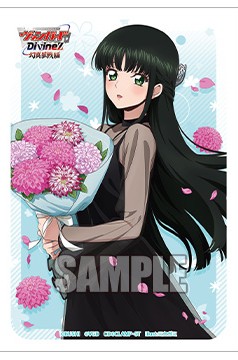 サプライ,スリーブ | ヴァンガード通販専門店【ヴァンハッピー】