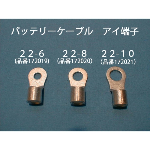 �ڡ�172021�ۥХåƥ꡼�����֥롡����ü�ҡ�22-M10��