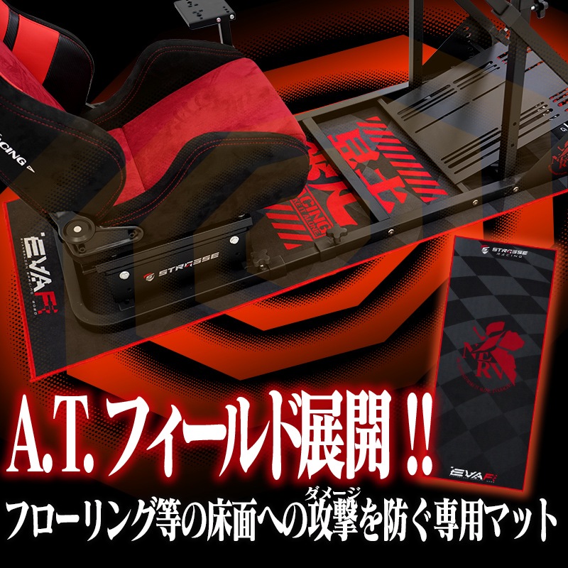 STRASSE �ե����ޥå� TYPE EVA RACING