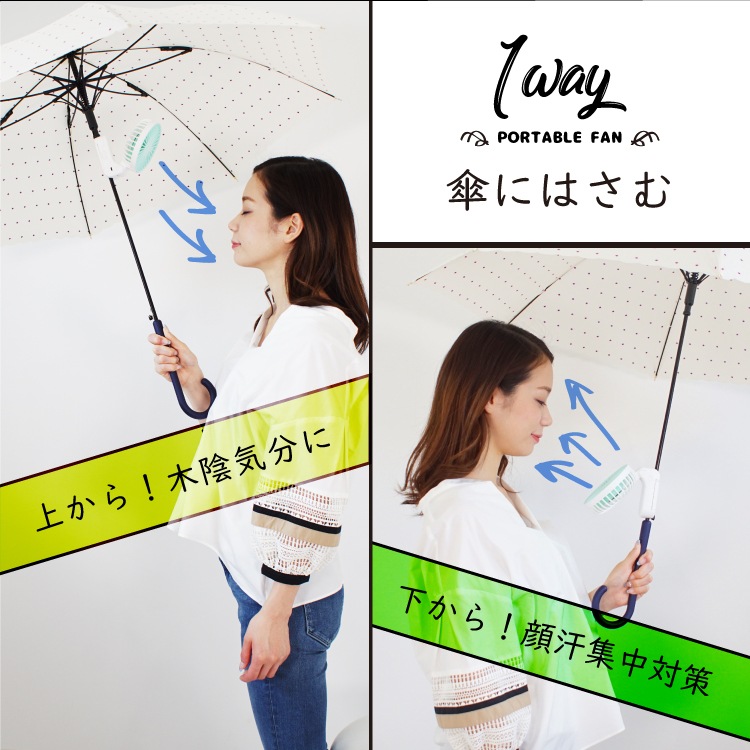 ϥǥե 3way ˼դOK 
