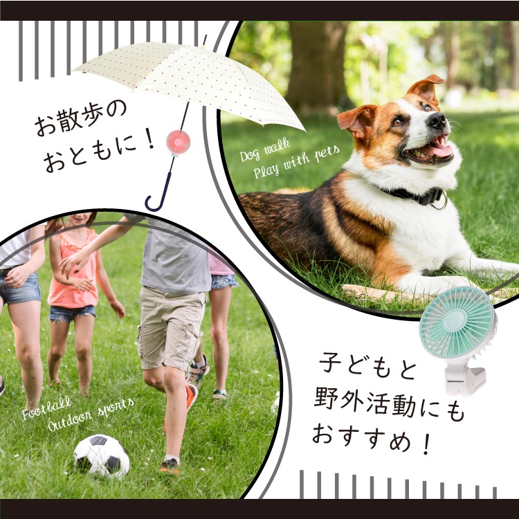 ϥǥե 3way ˼դOK 