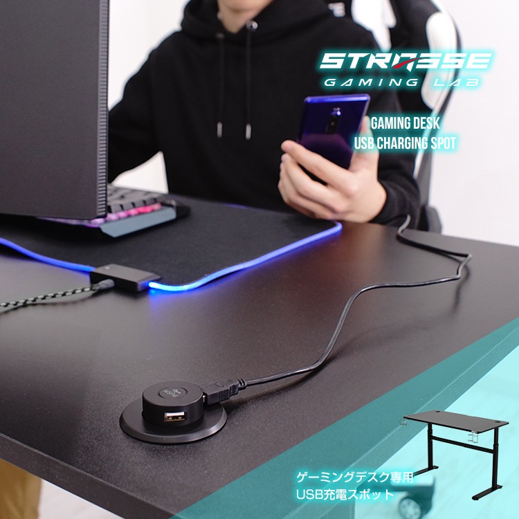 STRASSE GAMING LAB USB���ť��ݥå� 