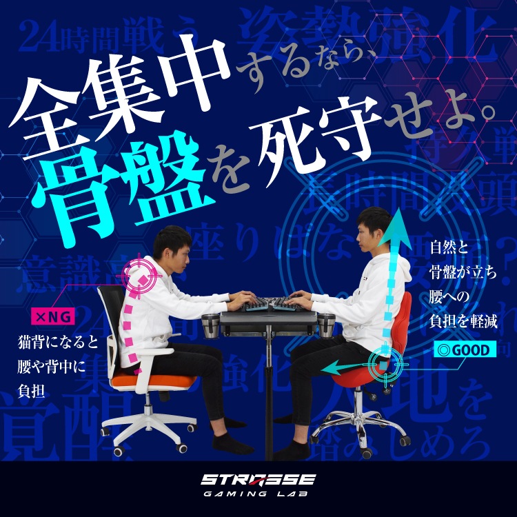 STRASSE GAMING LAB ����ͽ�ɥ����� �ػ� �����ߥ󥰥�����