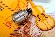 (ܸ24kގَĎގΎߎĎӎÎގ) VapeFly Holic MTL RDA  ŻҎʎގ VAPE Ύ؎ ͎ގ̎ 2019  ر  鿴 Horick 