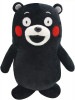 マネマネ おしゃべり トコトコ ぬいぐるみ くまモン KK2000006[定形外郵便、送料無料、代引不可]|玩具|ゲーム・おもちゃ