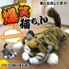 笑い転げる猫 カラーランダム 笑う猫 転がる猫 おもちゃ 笑うねこ ぬいぐるみ waraineko[送料無料(一部地域を除く)]|玩具|ゲーム・おもちゃ