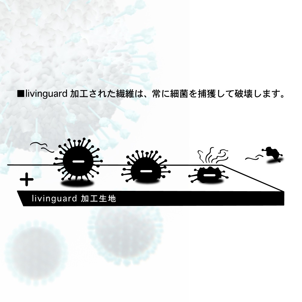 アンチウイルスマスク  ホワイト (通気口あり)　10枚セット