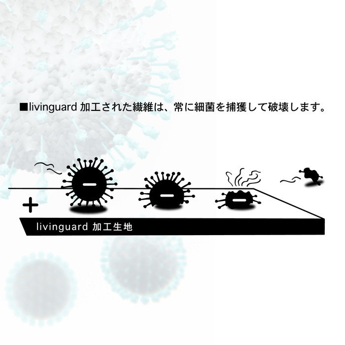 【口腔ケアセット】ハイカラフル -カクモウ- 12本×アンチウイルスマスク(通気口なし)【大容量】