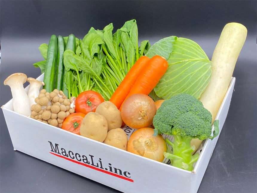 有機野菜セット 16種類 (関西エリアまで送料無料)