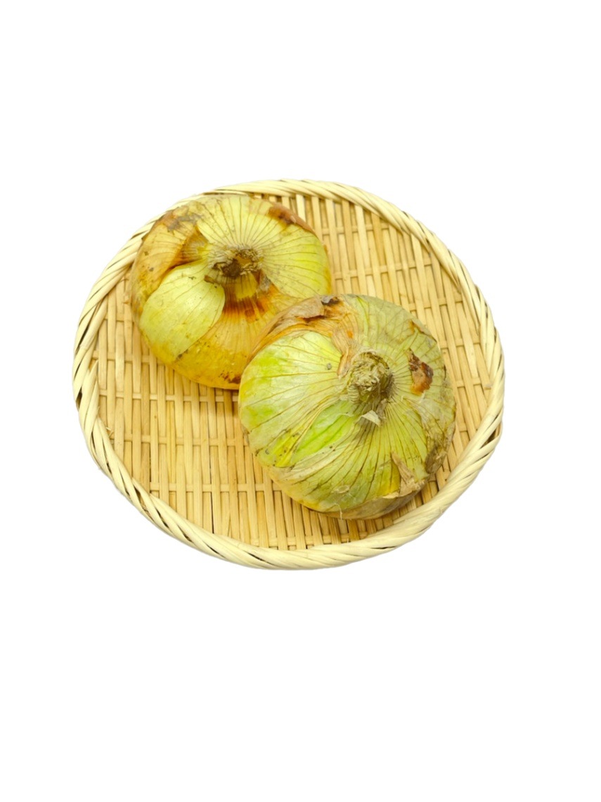 佐賀県産 新玉ねぎ