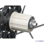 FULCRUM �ե륯��� WHEEL PARTS �ۥ�����ѡ��� R0-113/HG ����ߥե꡼�ܥǥ�(9-10-11s�б��ۥ���������)(8055349737447)