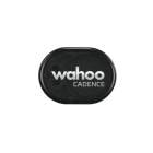 wahoo ��ա� RPM Cadence Sensor RPM �����ǥ󥹥��󥵡�(WFPODCAD2)�������륳��ԥ塼��