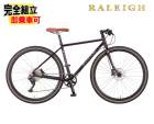 (�߸˰��ݥ�����)RALEIGH ��졼 RFF-N Radford Fatty N ��ɥե����� �ե��åƥ���N ����֥ѡ��ץ� 10����® �������Х���