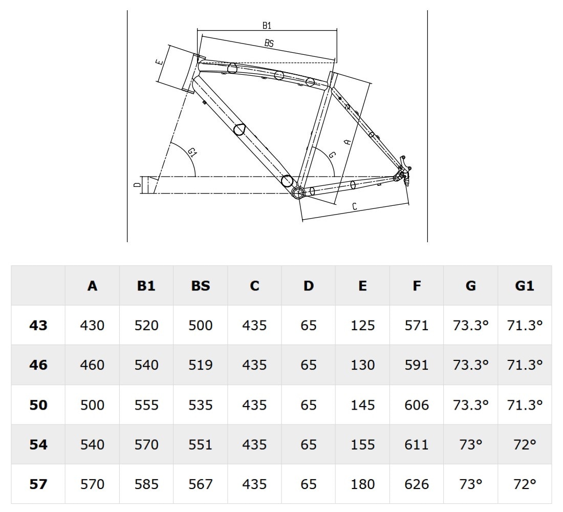 BIANCHI ビアンキ ROMA 3 DISC ローマ3ディスク ブルーフォレスト 油圧