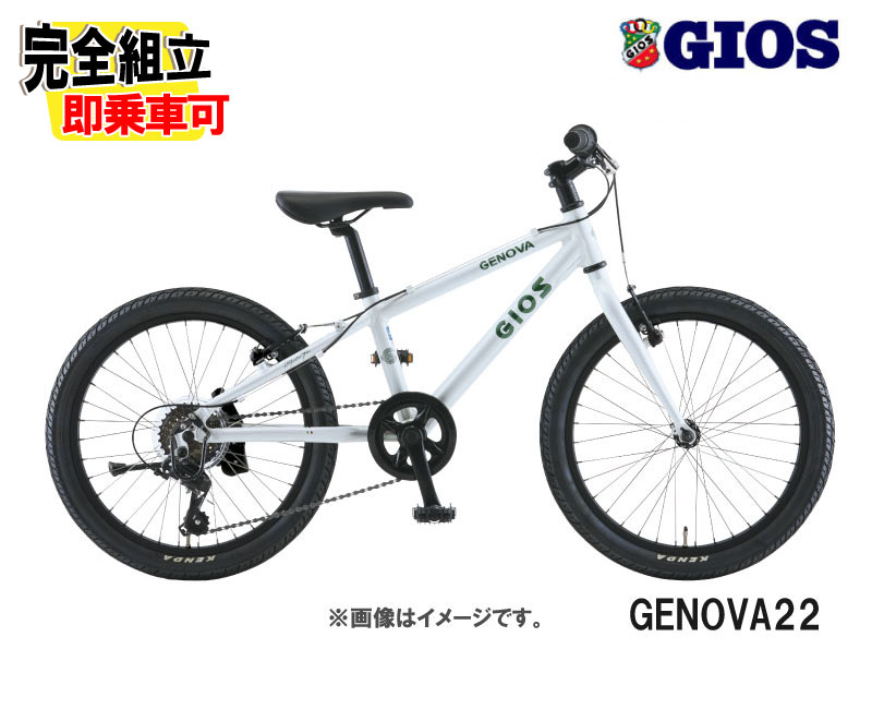 2026 GIOS  GENOVA 22 Υ22 ѡۥ磻/꡼ ˥Х