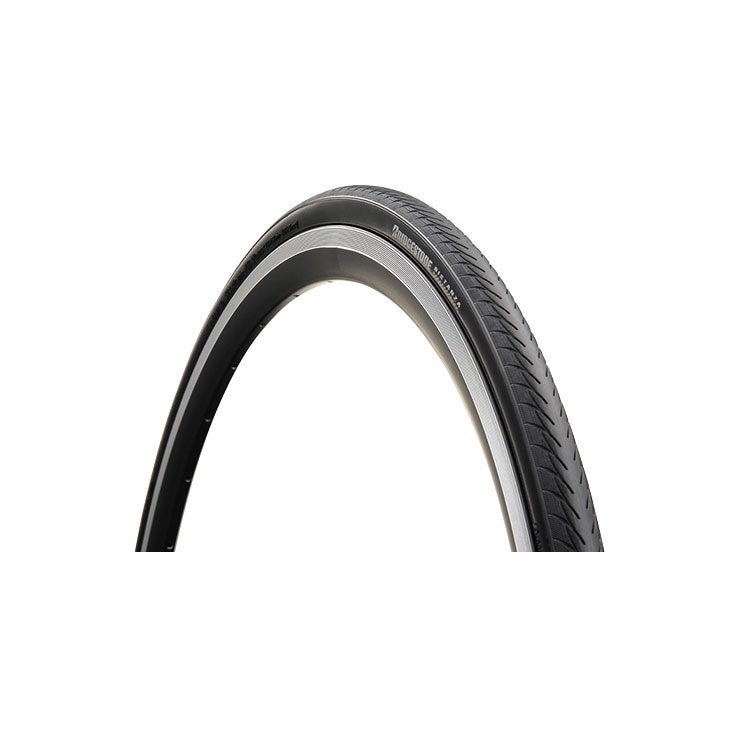 即納)BRIDGESTONE ブリヂストン DISTANZA ディスタンザ レギュラー 700