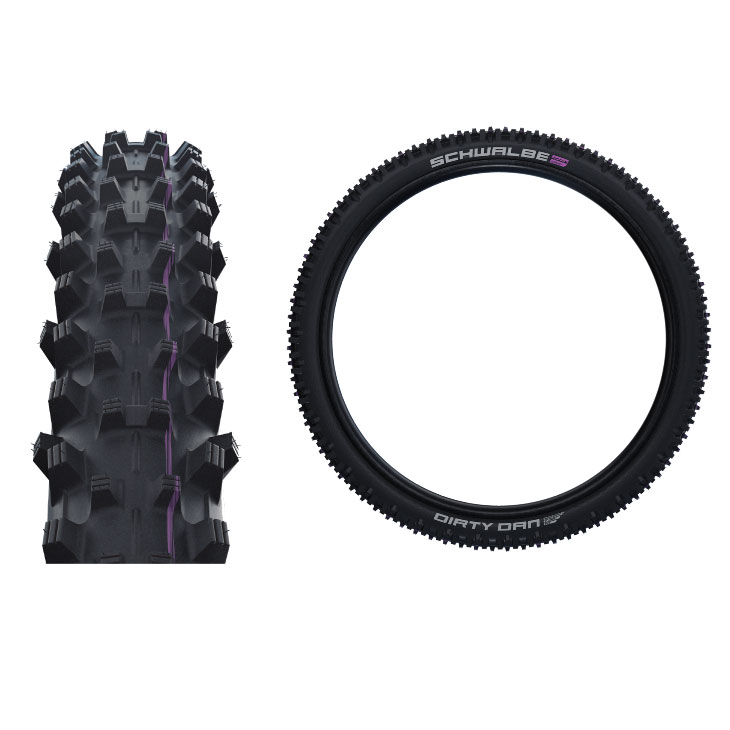 SCHWALBE シュワルベ DIRTY DAN ダーティ ダン(1本)チューブレス MTB