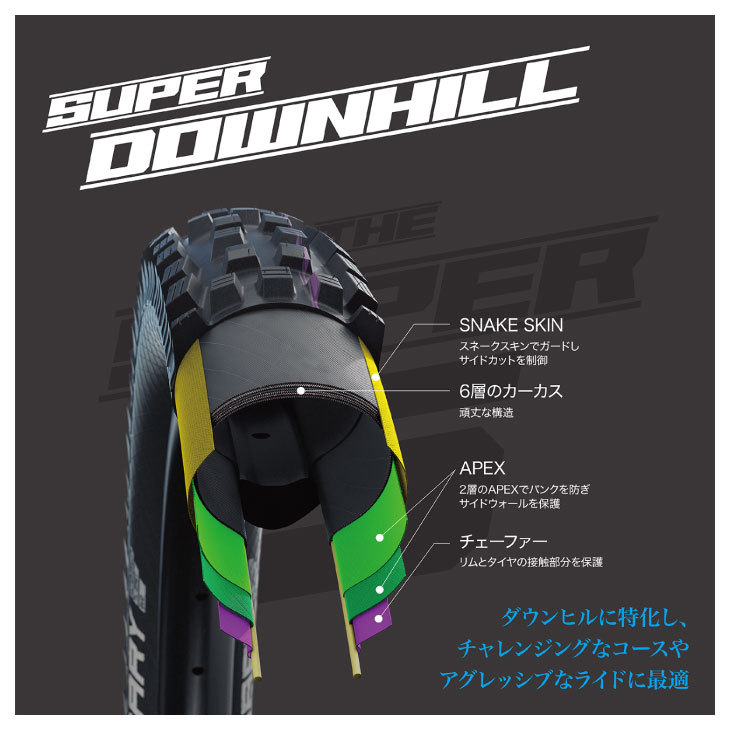SCHWALBE シュワルベ DIRTY DAN ダーティ ダン(1本)チューブレス MTB