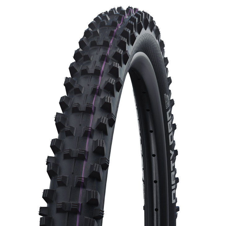 SCHWALBE シュワルベ DIRTY DAN ダーティ ダン(1本)チューブレス MTB