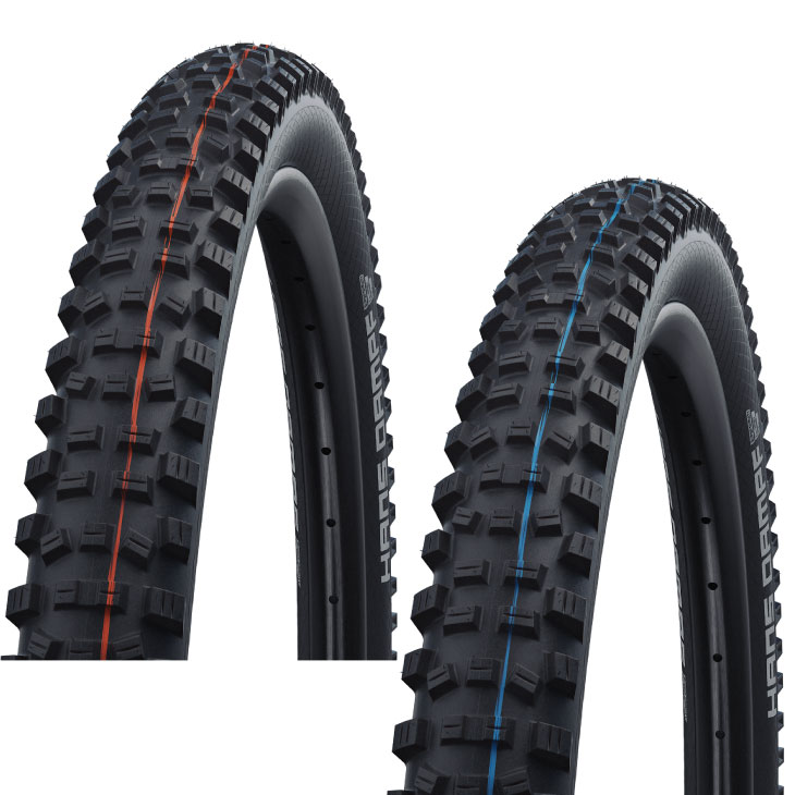 SCHWALBE シュワルベ HANS DAMPF ハンスダンプ Evolution Line