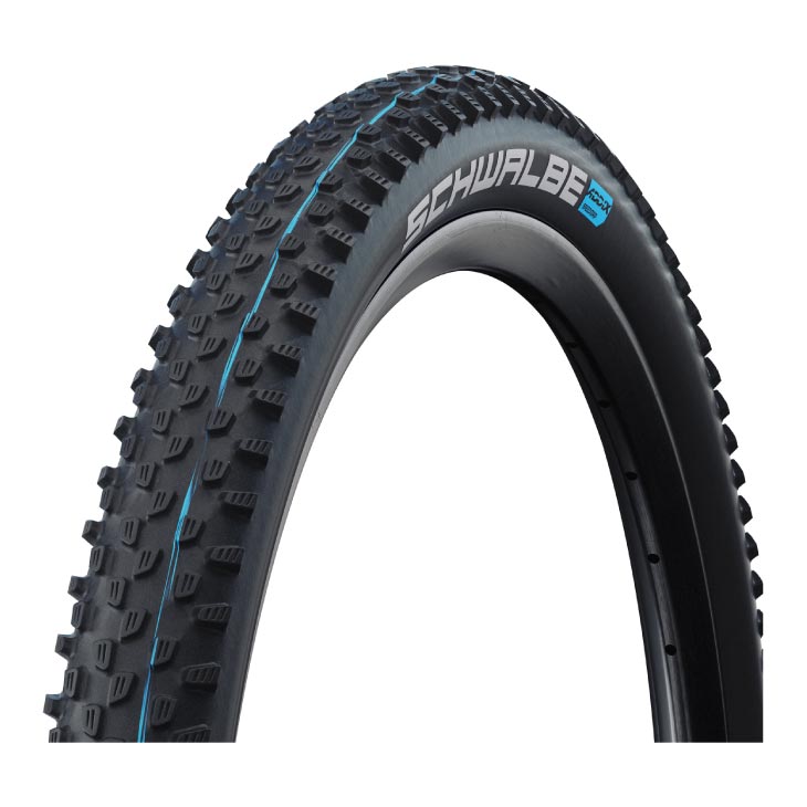 SCHWALBE ������� RACING RAY �졼���� �쥤(1��)MTB ������