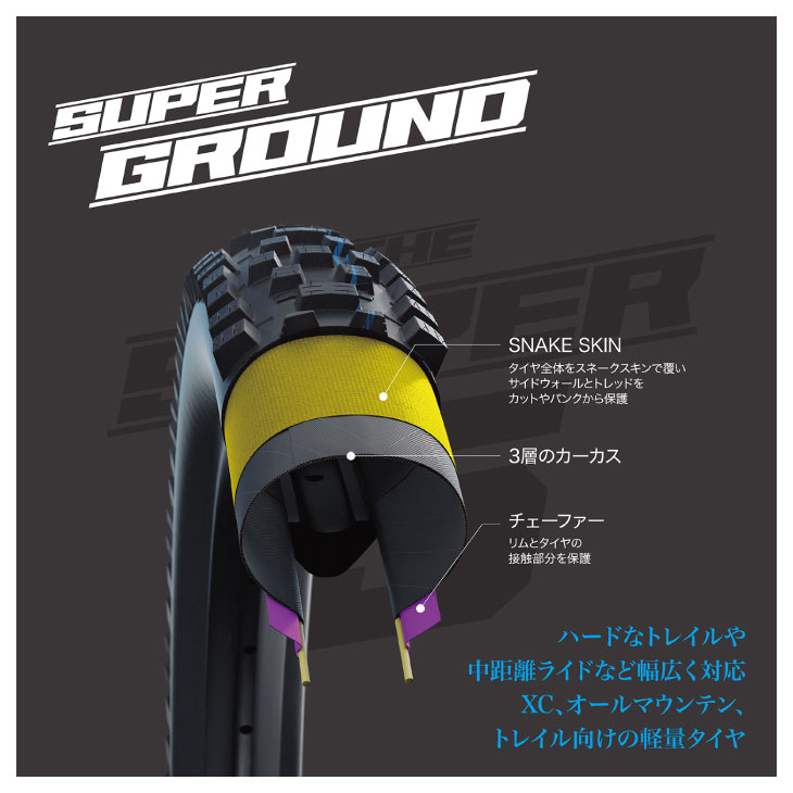 SCHWALBE シュワルベ RACING RAY レーシング レイ Evolution Line(1本