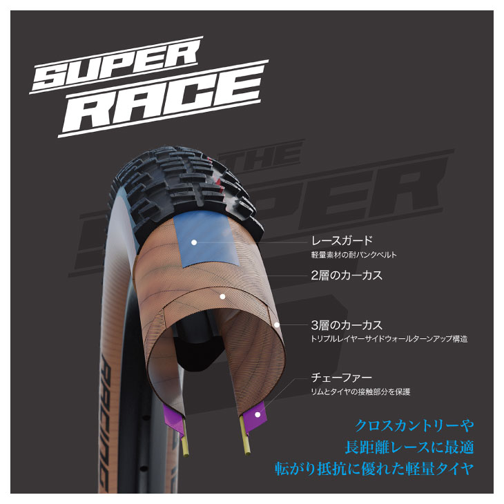 SCHWALBE シュワルベ RACING RAY レーシング レイ Evolution Line(1本