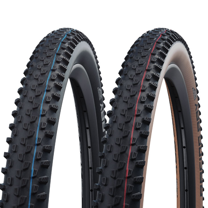 SCHWALBE ( シュワルベ ) レーシングレイ 29X2.25 SCHWALBE シュワルベ RACING RAY レーシング レイ Evolution Line(1本