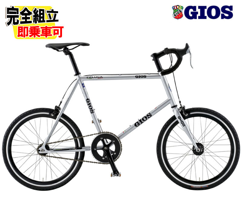 (��ŵ�դ�!)2026ǯ GIOS ������  FELUCA PISTA �ե��롼�� �ԥ��� ����С� ���󥰥륹�ԡ��� ���¼�