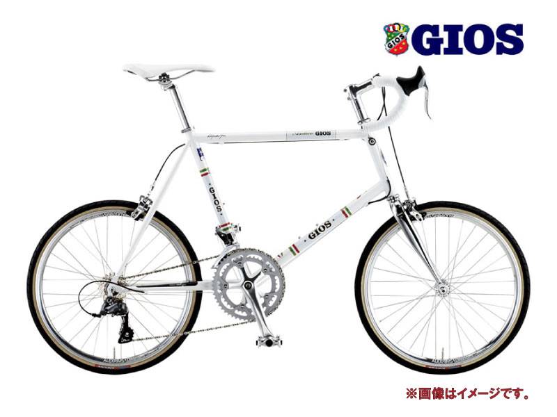 選べる特典付)2025 GIOS ジオス ANTICO アンティーコ ホワイト 2