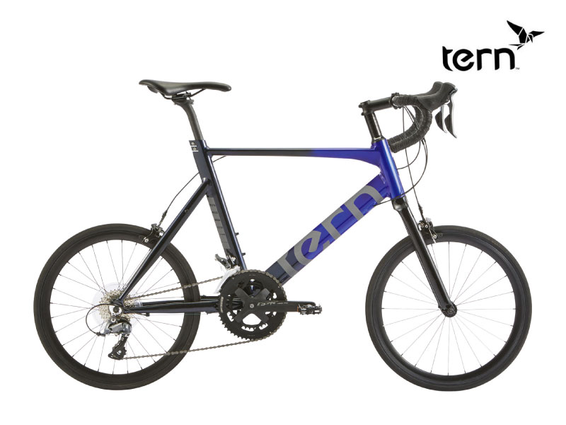 (߸˽ʬ)TERN  SURGE  ե󥰥ʥ ꥫ顼 470mm