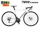 (�߸˽�ʬ������)2025 BRIDGESTONE ANCHOR �֥�¥��ȥ� ���󥫡� RP8 105 MODEL 105���� �졼���󥰥ۥ磻�� 490mm