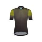 (�߸˽�ʬ������)(�᡼�����б�����)SHIMANO ���ޥ� ���ܥ�� ���٥����� ���㡼�� ���������꡼�� ���㡼�� ��� (8717009534499)