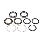 BBB �ӡ��ӡ��ӡ� BOTTOMBEAR BB30 | BBO-19 �ܥȥ�٥� BB30�٥���󥰥��å�  �֥�å� (263507)(4580366361701)