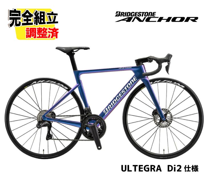 特典付き!)2026 BRIDGESTONE ANCHOR ブリヂストン アンカー RP9