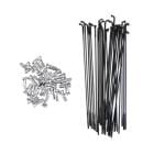 BROMPTON �֥���ץȥ� Spoke/nipple set Double Butted 14G - 136mm ���ݡ���/�˥åץ륻�å� ���֥�Хƥå� 14G 136mm �֥�å� (Q102673) (5053099041978)