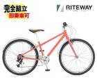 RITEWAY �饤�ȥ����� ZIT 24 ���å�24 �ޥåȥ������å� 6����® ����˥��Х���