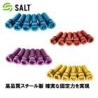 (¨Ǽ����)(�᡼�����б�����)SALT ����� SOLID STEM BOLTS ����å� ���ƥ�ܥ�ȥ��å�