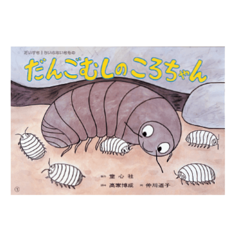 紙芝居　昭和　5領域　7冊　たぬきとひこいち　てぶくろくん 紙芝居 昭和 5領域 7冊 たぬきとひこいち てぶくろくん 紙芝居