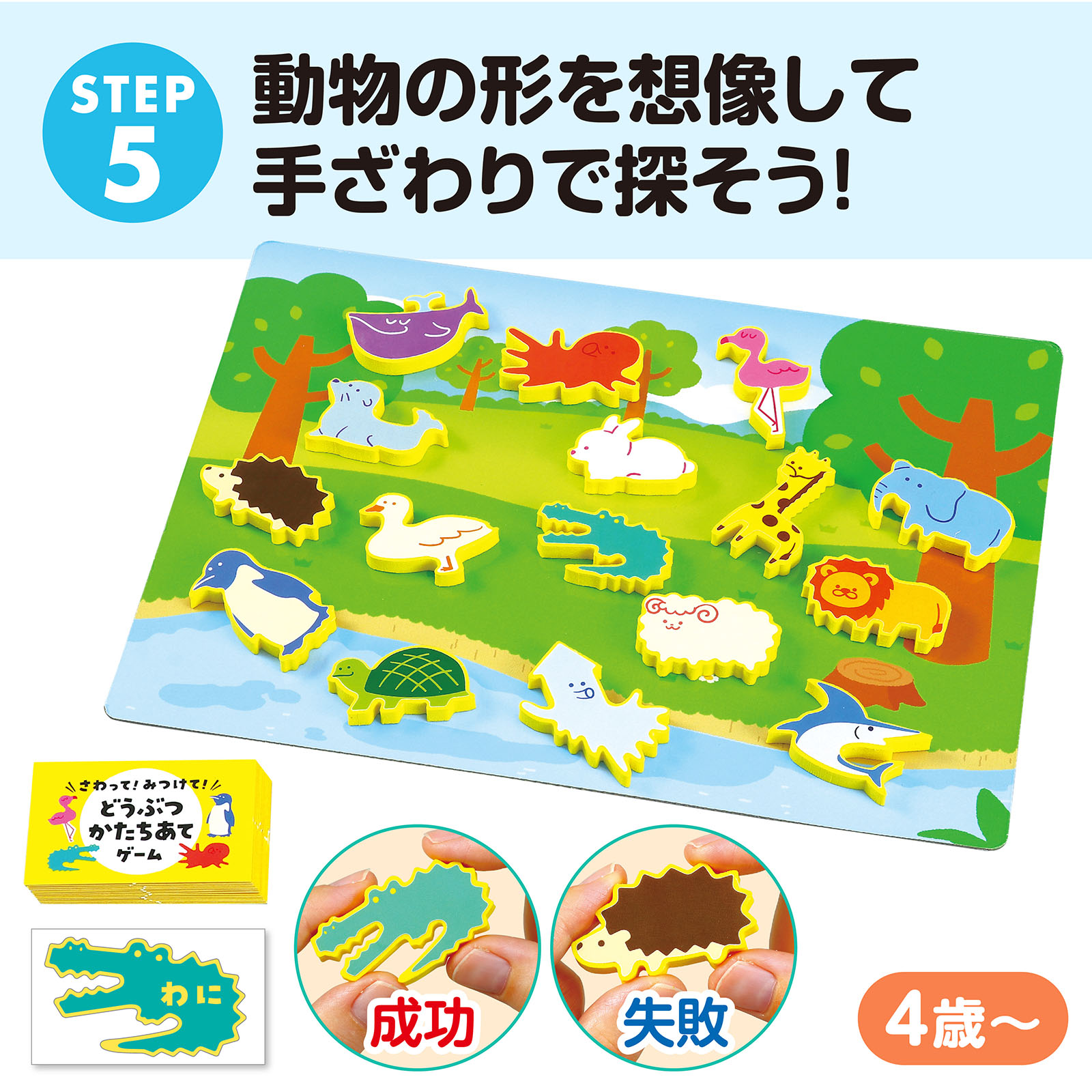 ｱｰﾃｯｸ 感覚教育5点ｾｯﾄ【21660】 | 保育,言語教材・知育教材 | tool Pad