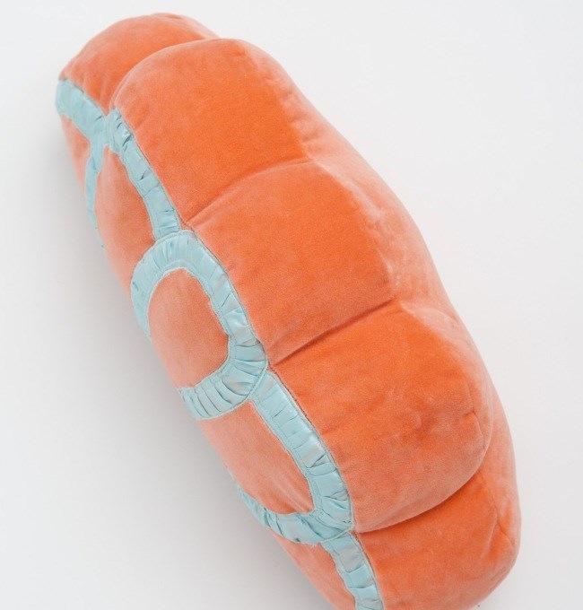 Cushion