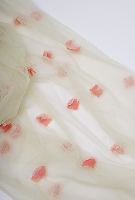 Holiday Special Box��L��